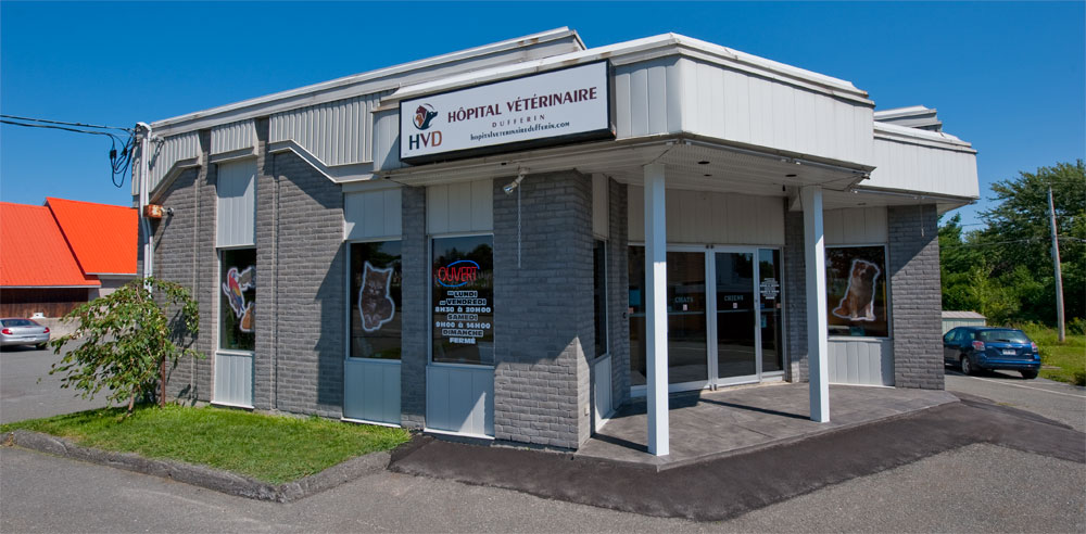 Hôpital Vétérinaire Dufferin