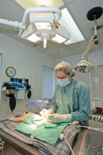 Chirurgie et anesthésie
